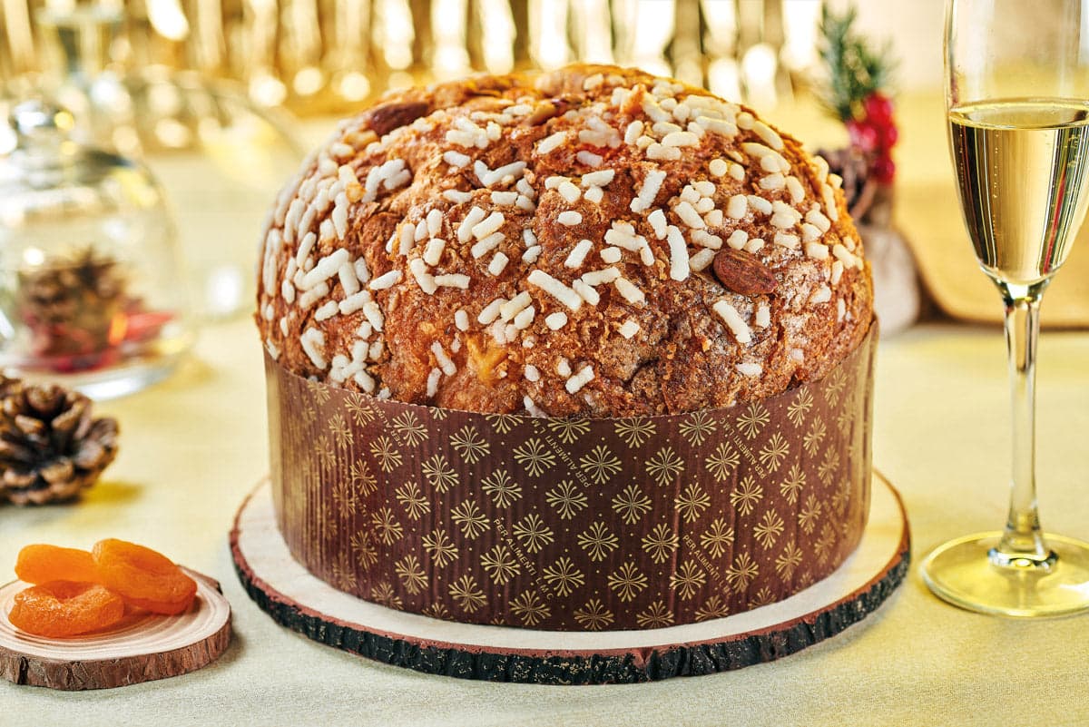 Panettone Albicocca