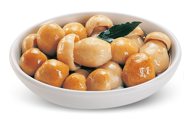 Porcini Interi in Olio d'Oliva 3