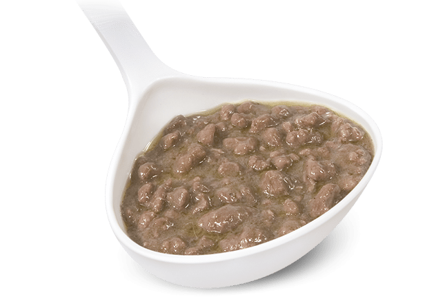 Ragù di Capriolo 3