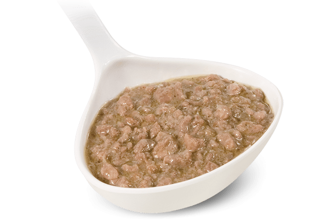 Ragù di Fagiano 3