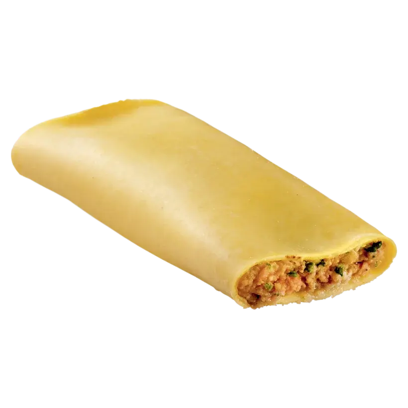 Cannelloni alla carne