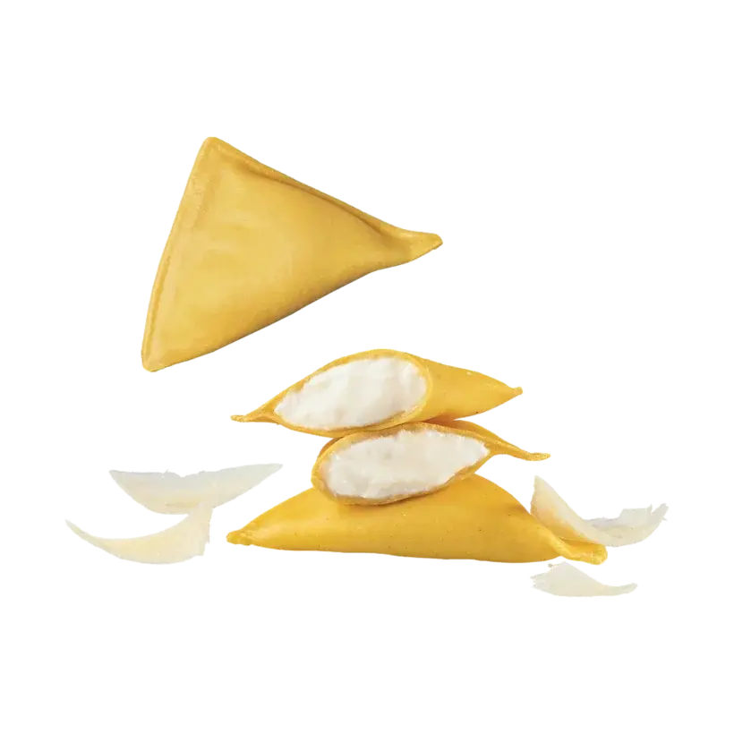 Triangoletti al Parmigiano Reggiano