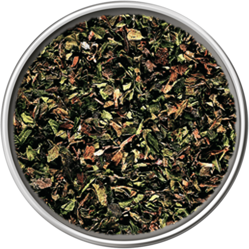 Menta - Essiccata 4