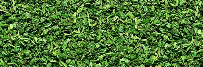Salvia - Liofilizzata