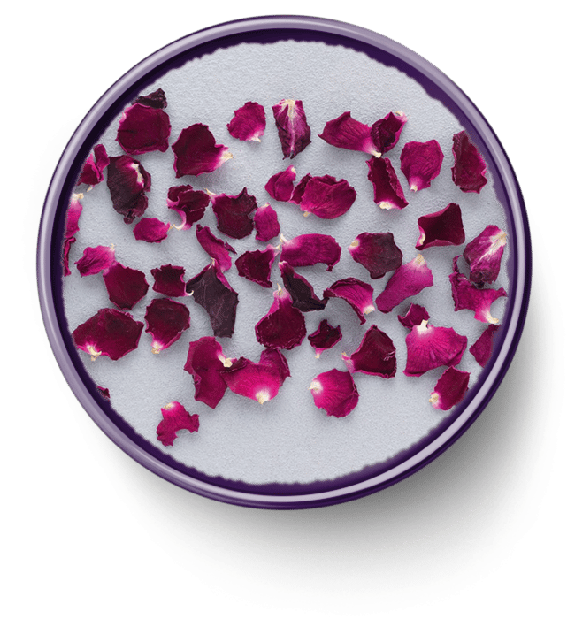 Petali di Rosa 3