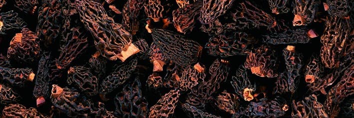 Morchella - Essiccata