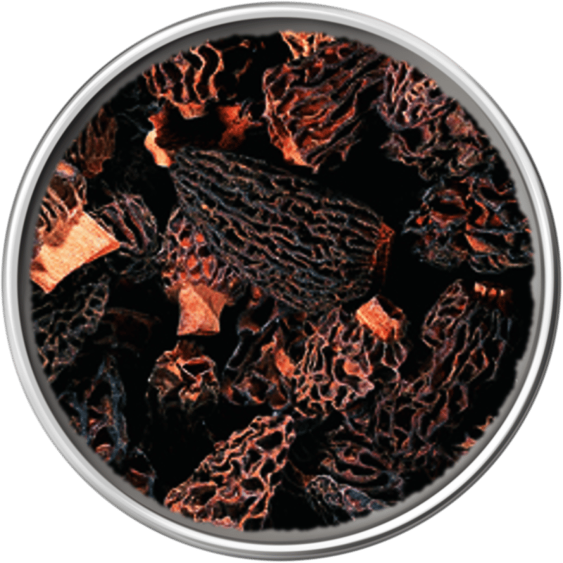 Morchella - Essiccata 4