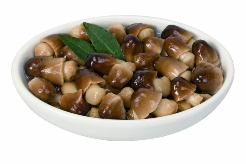 Funghi di Muschio in Olio di Girasole
