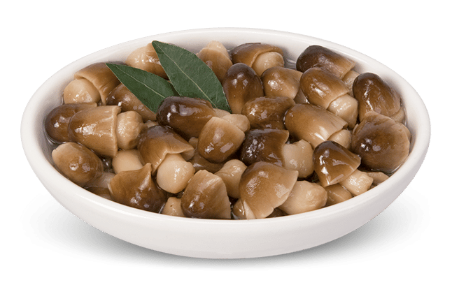 Funghi di Muschio in Olio di Girasole 3