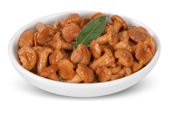 Gallinacci in Olio d'Oliva 3