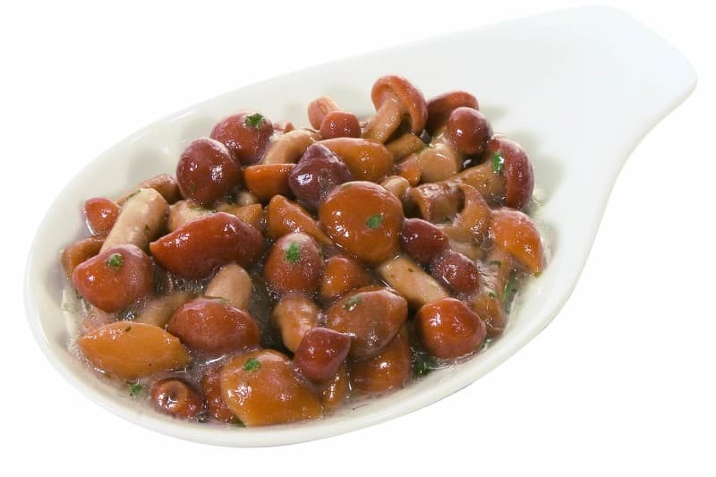 Famigliola Gialla Trifolati