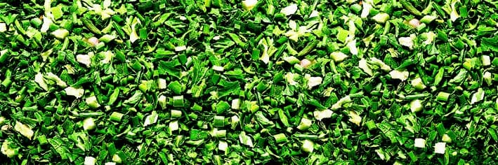 Miscela di Erbe per L'Insalata - Liofilizzata
