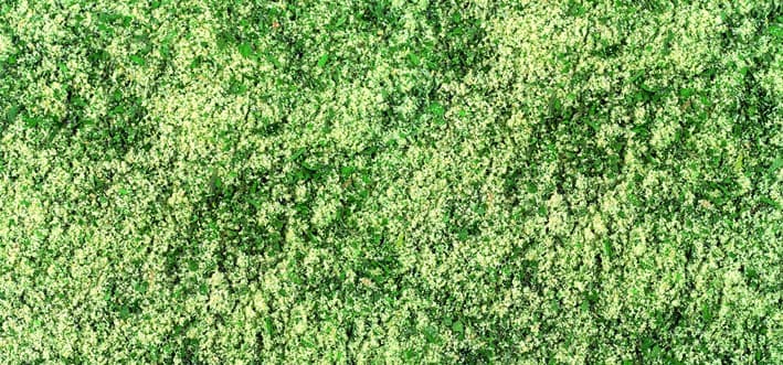 Aroma Insalata Universale - Miscela di Spezie