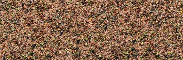 Maiale - Croccantino Rustico - Sale Aromatico
